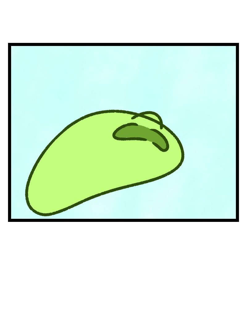 Image 18 Cut